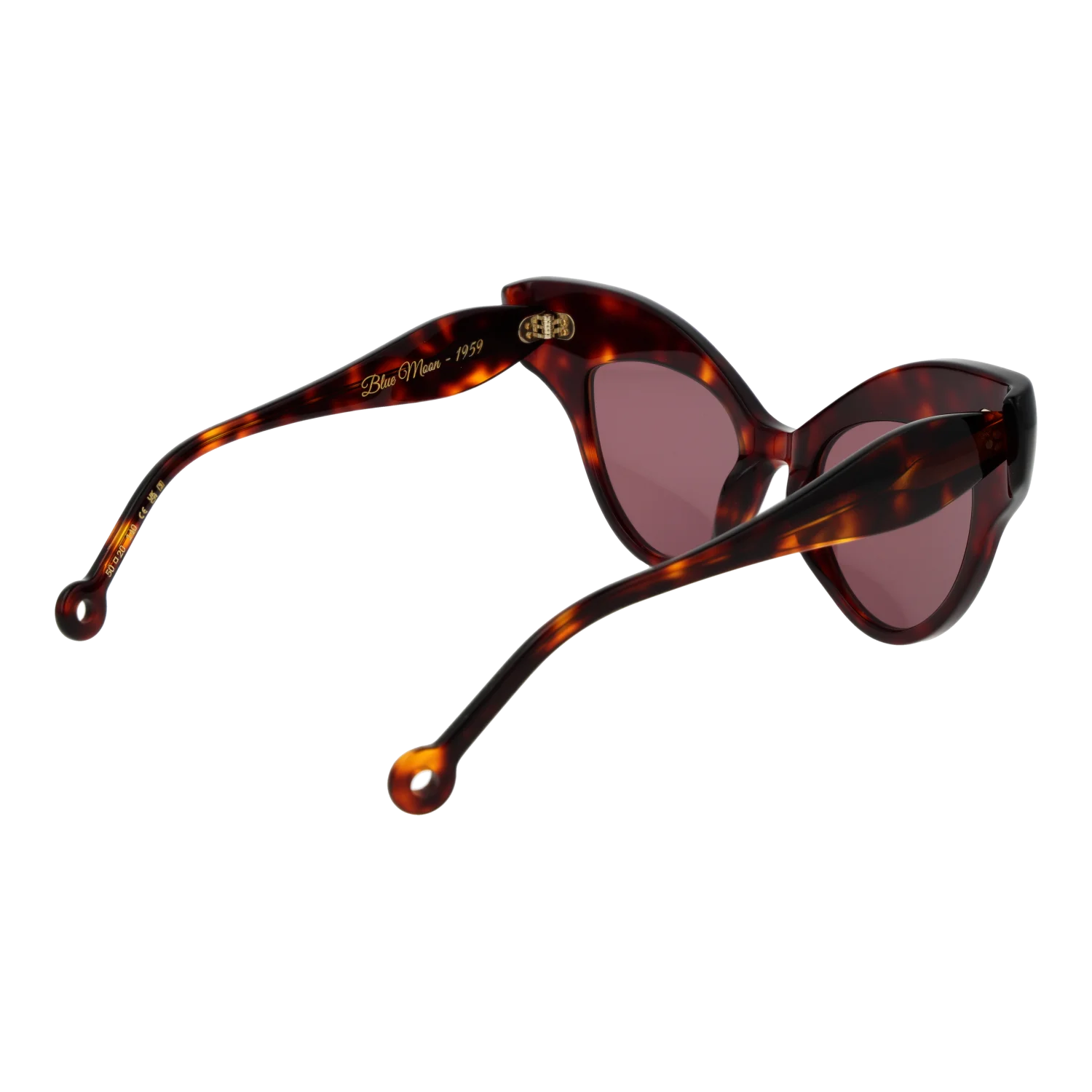 Hally & Son HS940S02 5002 – von hinten