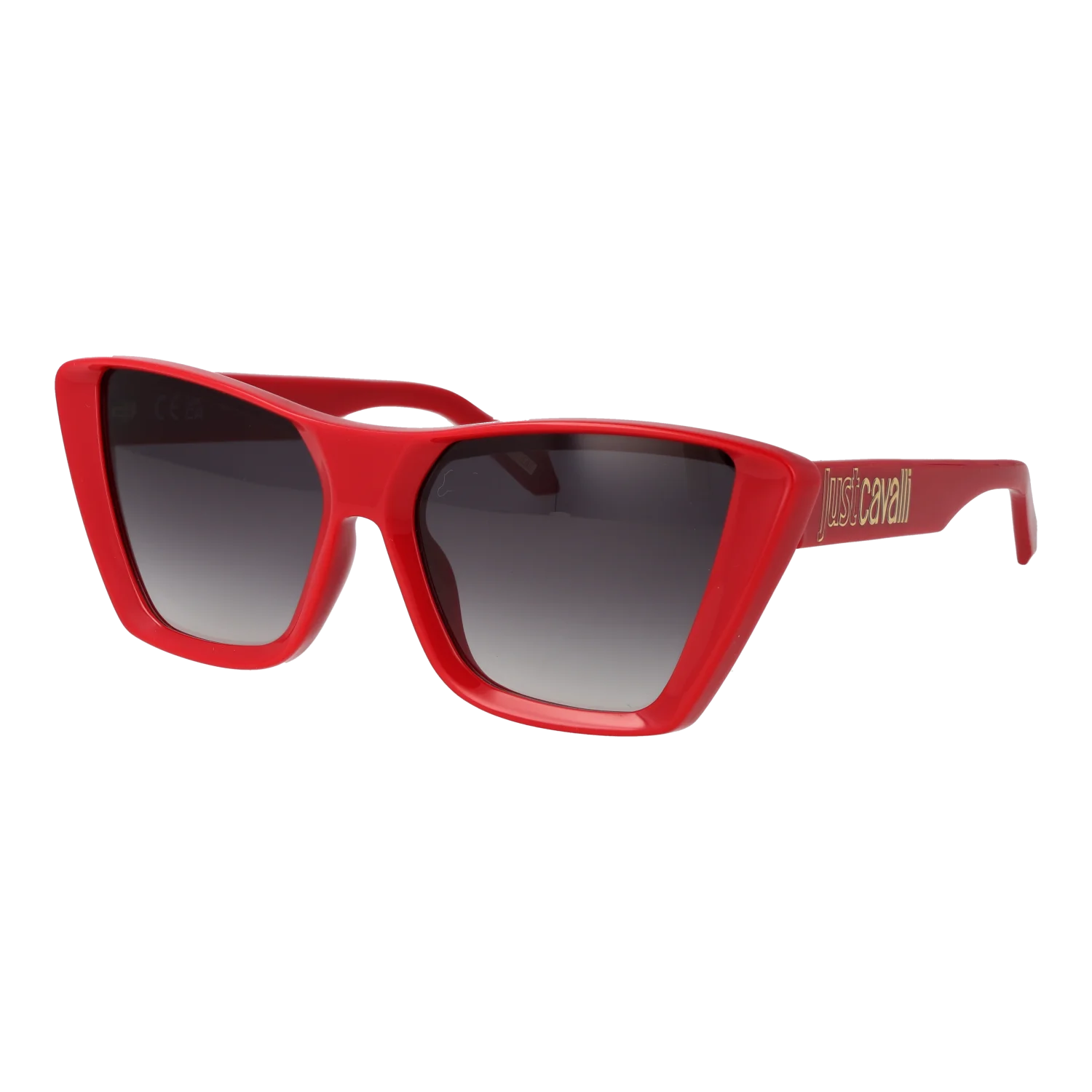 Just Cavalli SJC146 5806XX – schräg