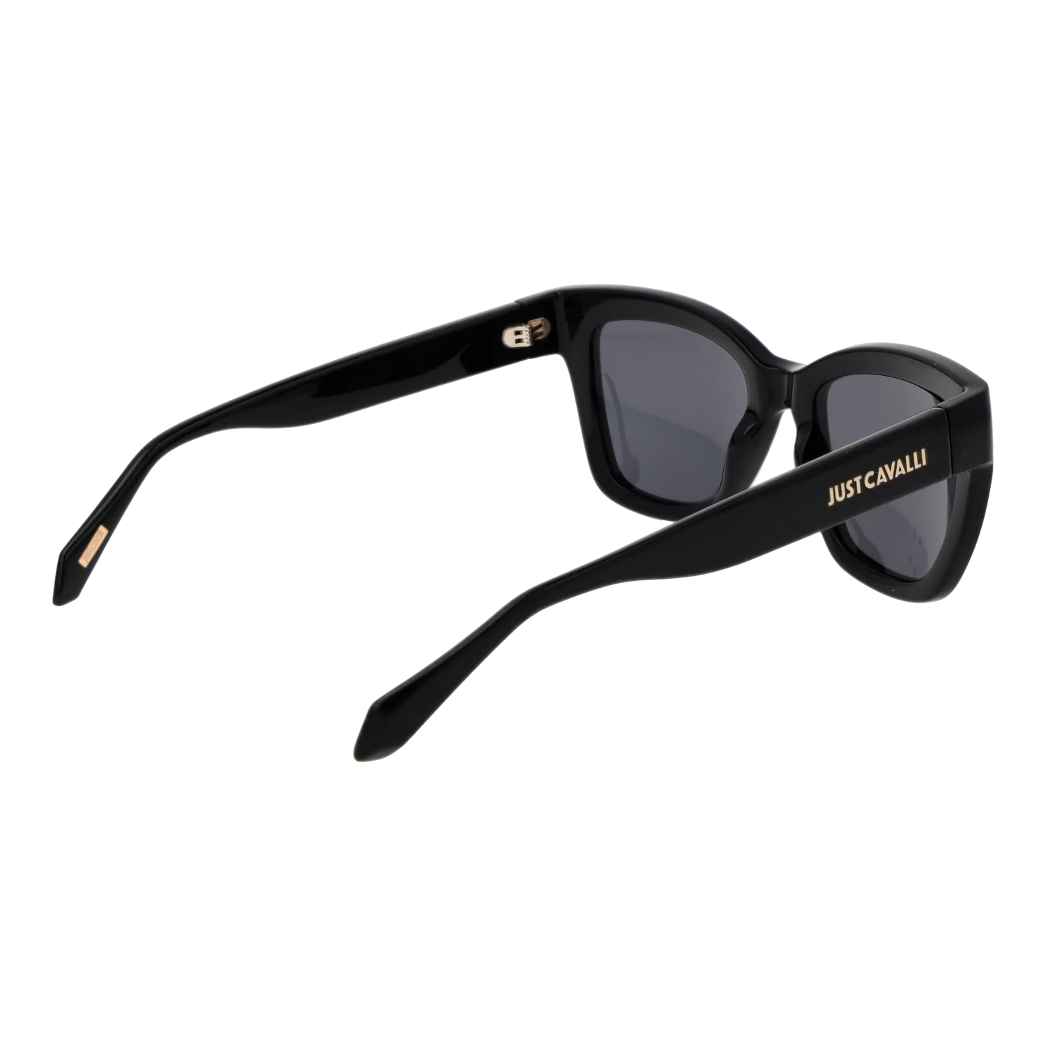 Just Cavalli SJC148 520Z42 – von hinten