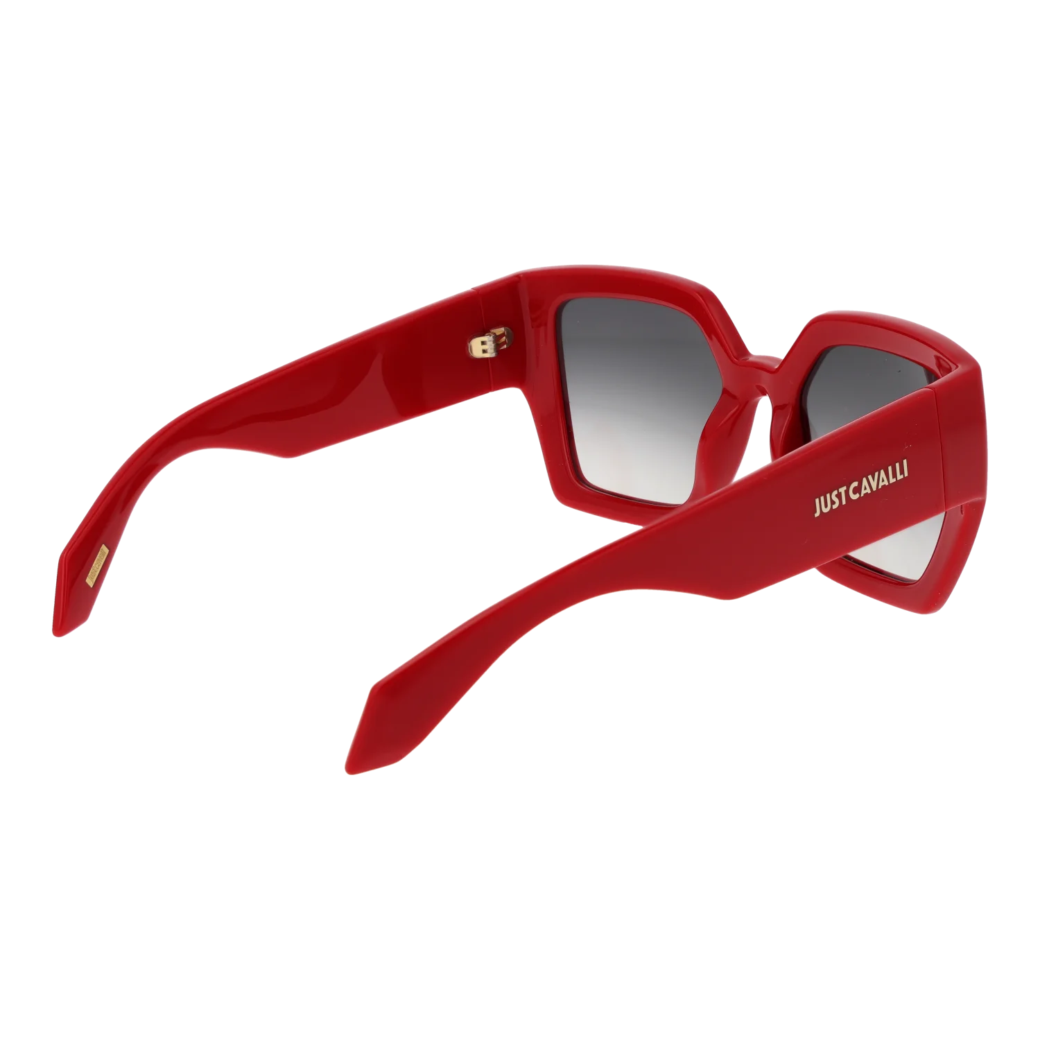 Just Cavalli SJC149 5307FU – von hinten