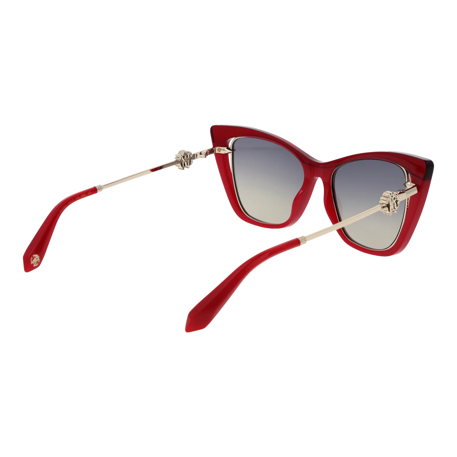 Roberto Cavalli SRC033V 5309EZ – von hinten