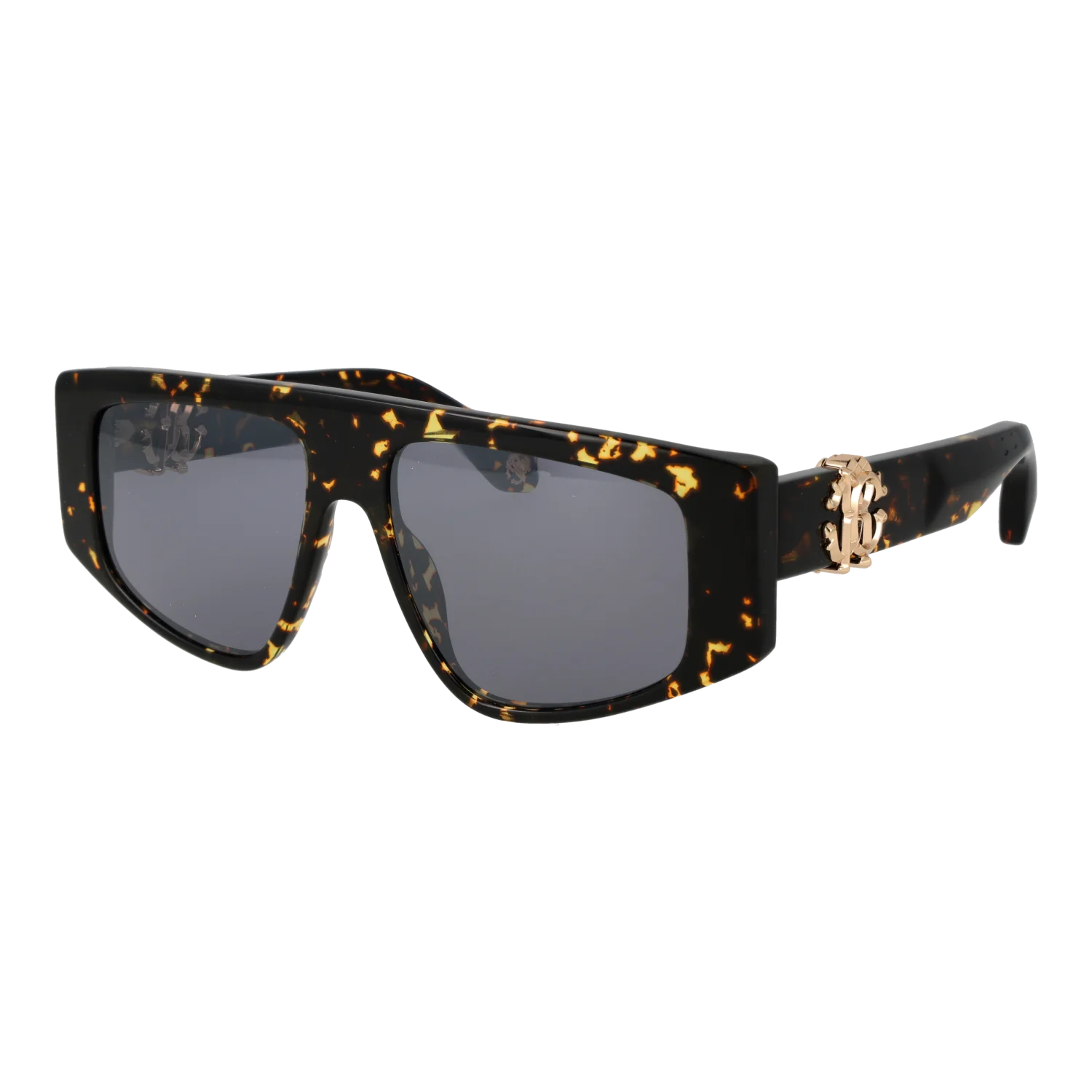 Roberto Cavalli SRC038M 564APX – schräg