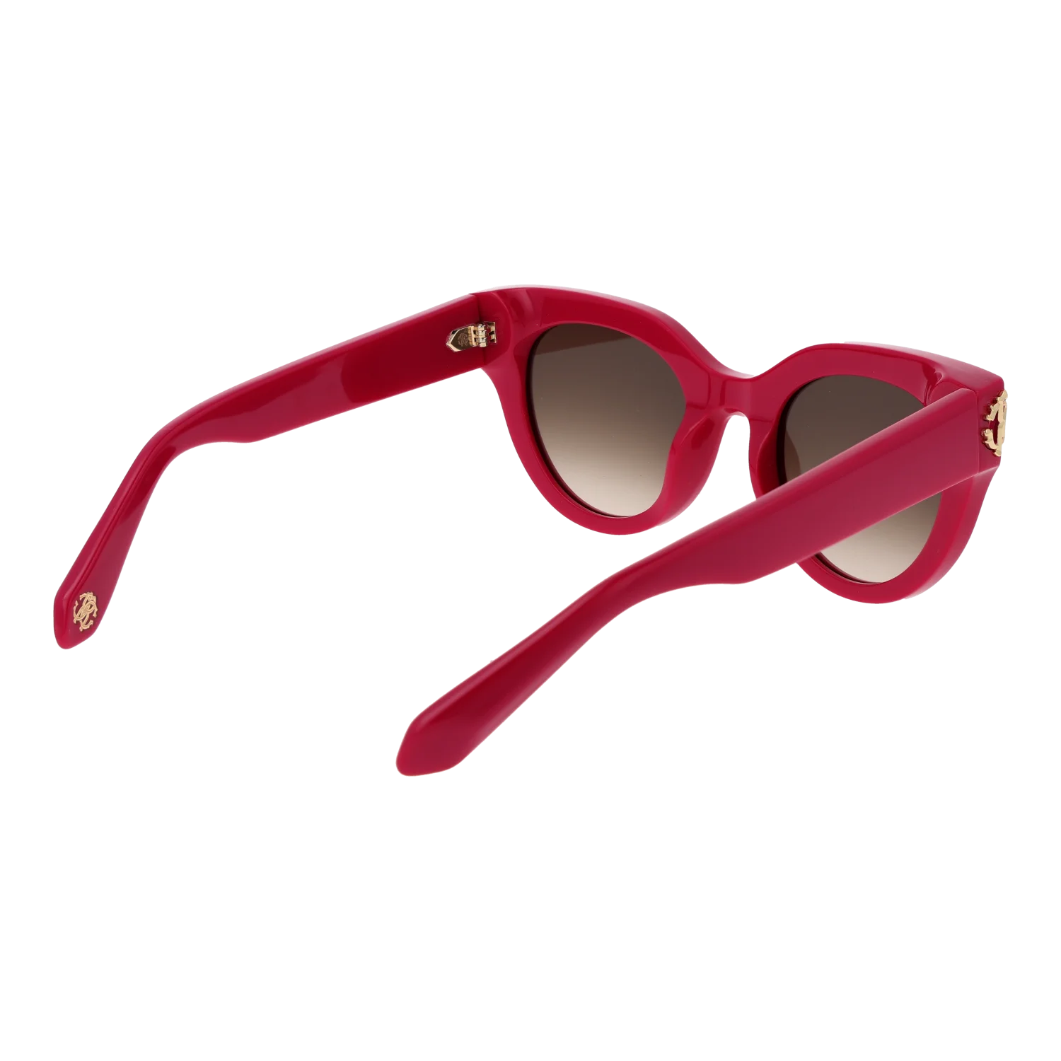 Roberto Cavalli SRC065M 5009M3 – von hinten